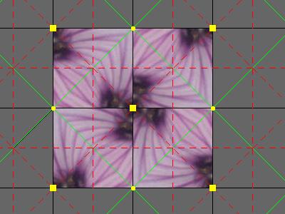 p1 fundamental domain